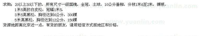 求購國槐、垂柳、白皮松、黑松