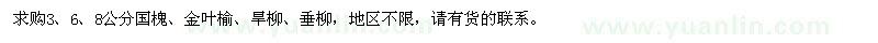 求購3、6、8公分國槐、金葉榆、旱柳、垂柳