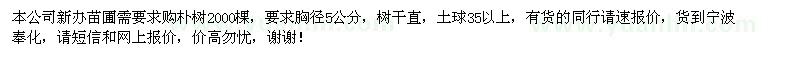 求購櫸樹