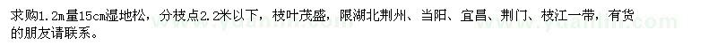 求購1.2米量15公分濕地松