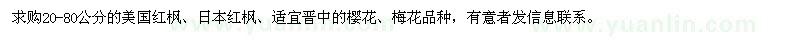 求購(gòu)美國(guó)紅楓、日本紅楓、櫻花