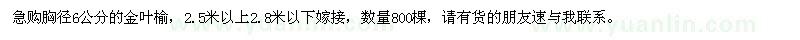 求購(gòu)胸徑6公分金葉榆