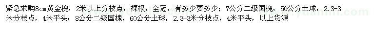 求購黃金槐、國槐
