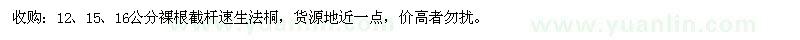 求購12、15、16公分速生法桐