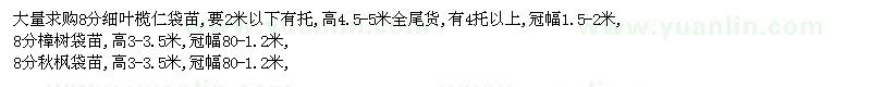 求購細(xì)葉欖仁、樟樹、秋楓