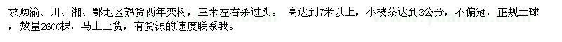 求購(gòu)高7米以上欒樹(shù)