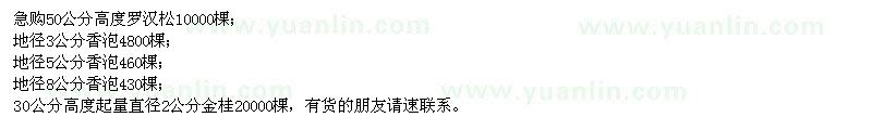 求購羅漢松、香泡、金桂