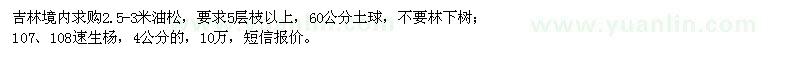 求購油松、107、108速生楊
