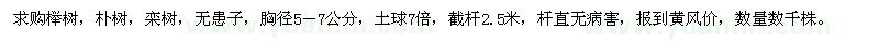 求購(gòu)櫸樹、樸樹、欒樹