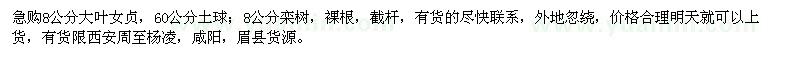 求購8公分大葉女貞