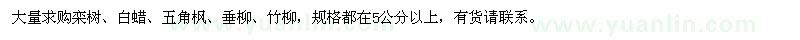求購欒樹、白蠟、五角楓
