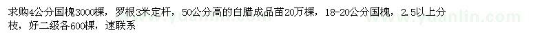 求購4、18-20公分白蠟，高50公分白蠟苗