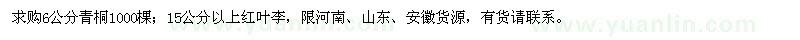 求購6公分青桐、15公分以上紅葉李