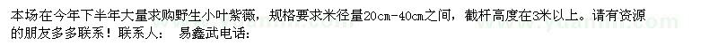 求購野生小葉紫薇