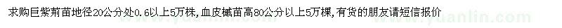 求購巨紫荊苗、血皮槭苗