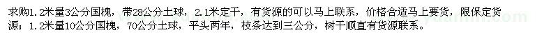 求購3、10公分國槐