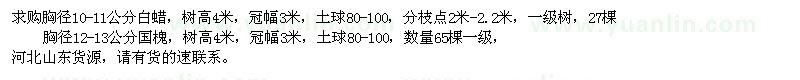 求購胸徑10-11公分白蠟、胸徑12-13公分國槐