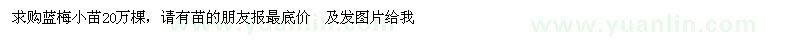 求購(gòu)臘梅小苗
