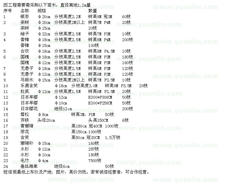 求購銀杏、欒樹、柚子、香樟等