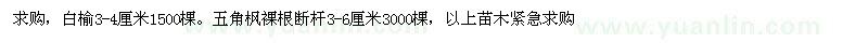 求購白榆、五角楓