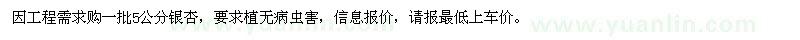 求購5公分銀杏