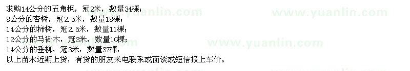 求購(gòu)五角楓、杏樹(shù)、柿樹(shù)