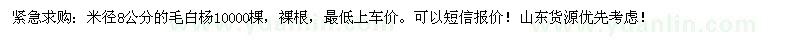 求購8公分毛白楊