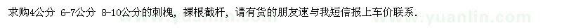 求購(gòu)刺槐 