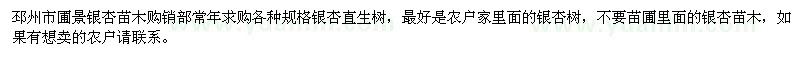 求購銀杏