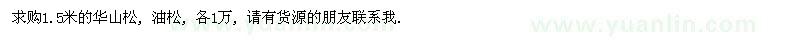 求購(gòu)1.5米的華山松、油松 