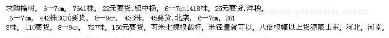 求購榆樹、銀中楊、洋槐、北欒 