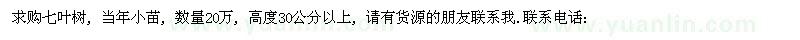 求購(gòu)七葉樹 