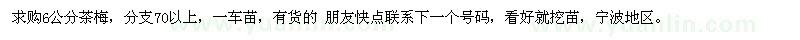 求購6公分茶梅
