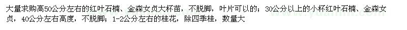 求購紅葉石楠、金森女貞、桂花