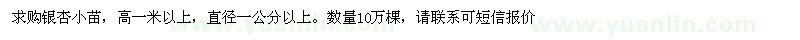 求購(gòu)銀杏小苗