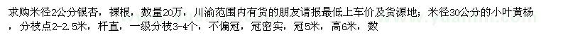 求購米徑2公分銀杏、30公分小葉黃楊