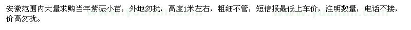 求購當(dāng)年紫薇小苗