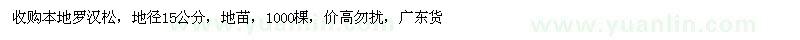 求購地徑15公分本地羅漢松
