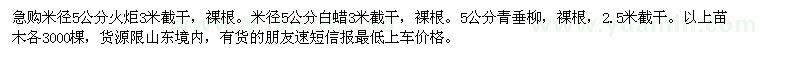 求購米徑5公分火炬、白蠟、青垂柳
