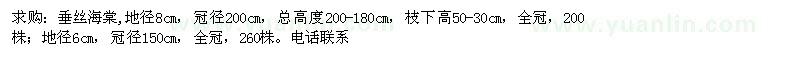 求購垂絲海棠
