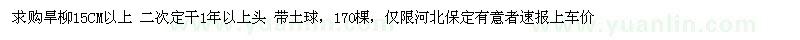 求購15公分以上旱柳