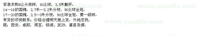 求購欒樹、國槐