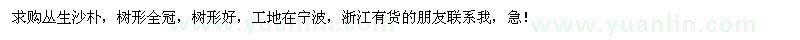 求購叢生沙樸