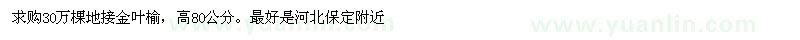 求購(gòu)高80公分地接金葉榆