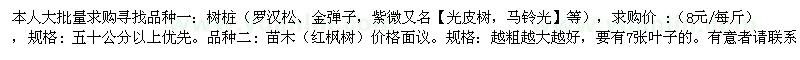 求購紅楓、羅漢松、金彈子