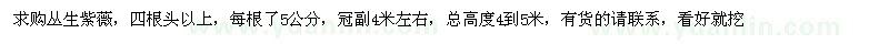 求購叢生紫薇