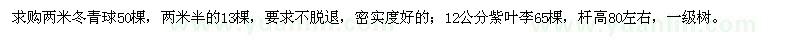 求購冬青球、紫葉李