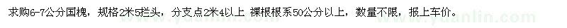 求購6-7公分國槐