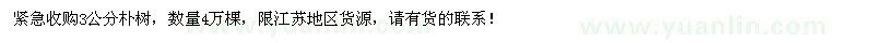 求購3公分樸樹