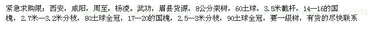 求購國槐、欒樹